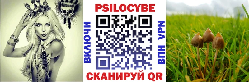 наркота  Кубинка  Псилоцибиновые грибы MAGIC MUSHROOMS 